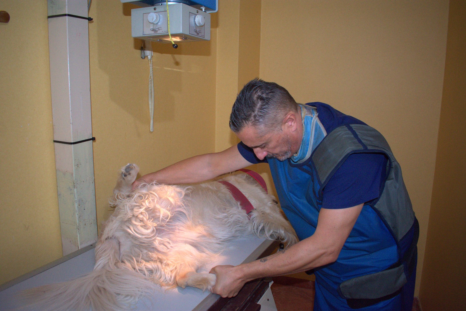 Dr. Lluis Fàbregas